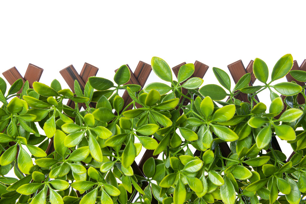 PVC Expandable Trellis 36"X72" Lt Schefflera Leaves