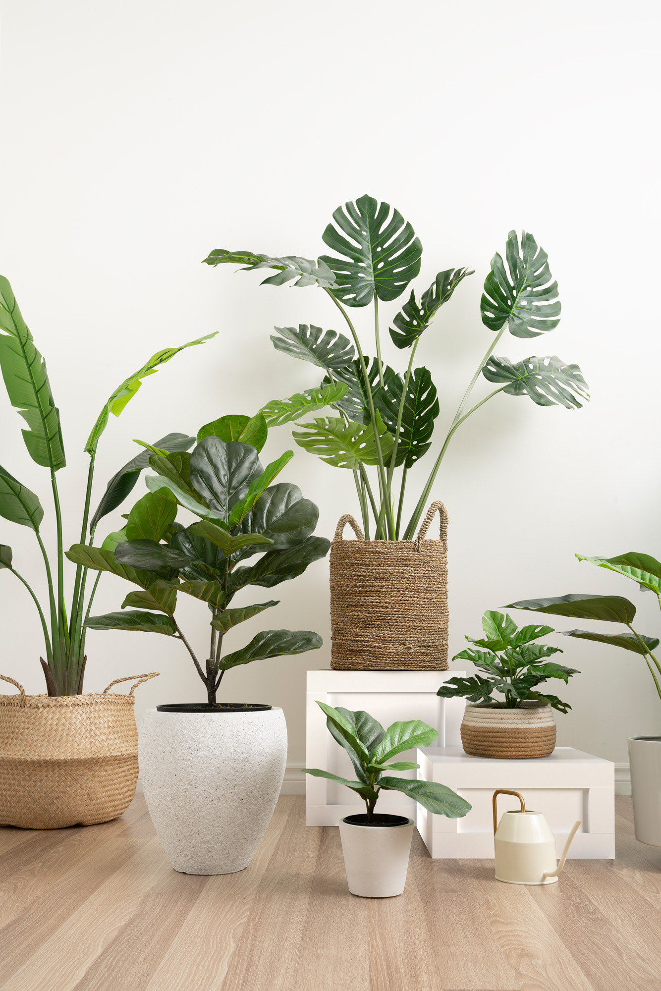 Transform Your Space with Decorative Potted Plants