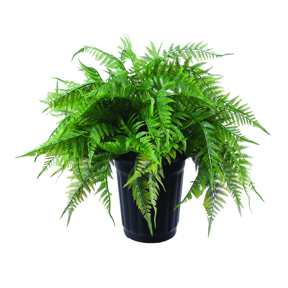 Naturae Decor Fern - Lifelike Artificial Indoor and Outdoor House Plant - UV Resistant - 47 in High