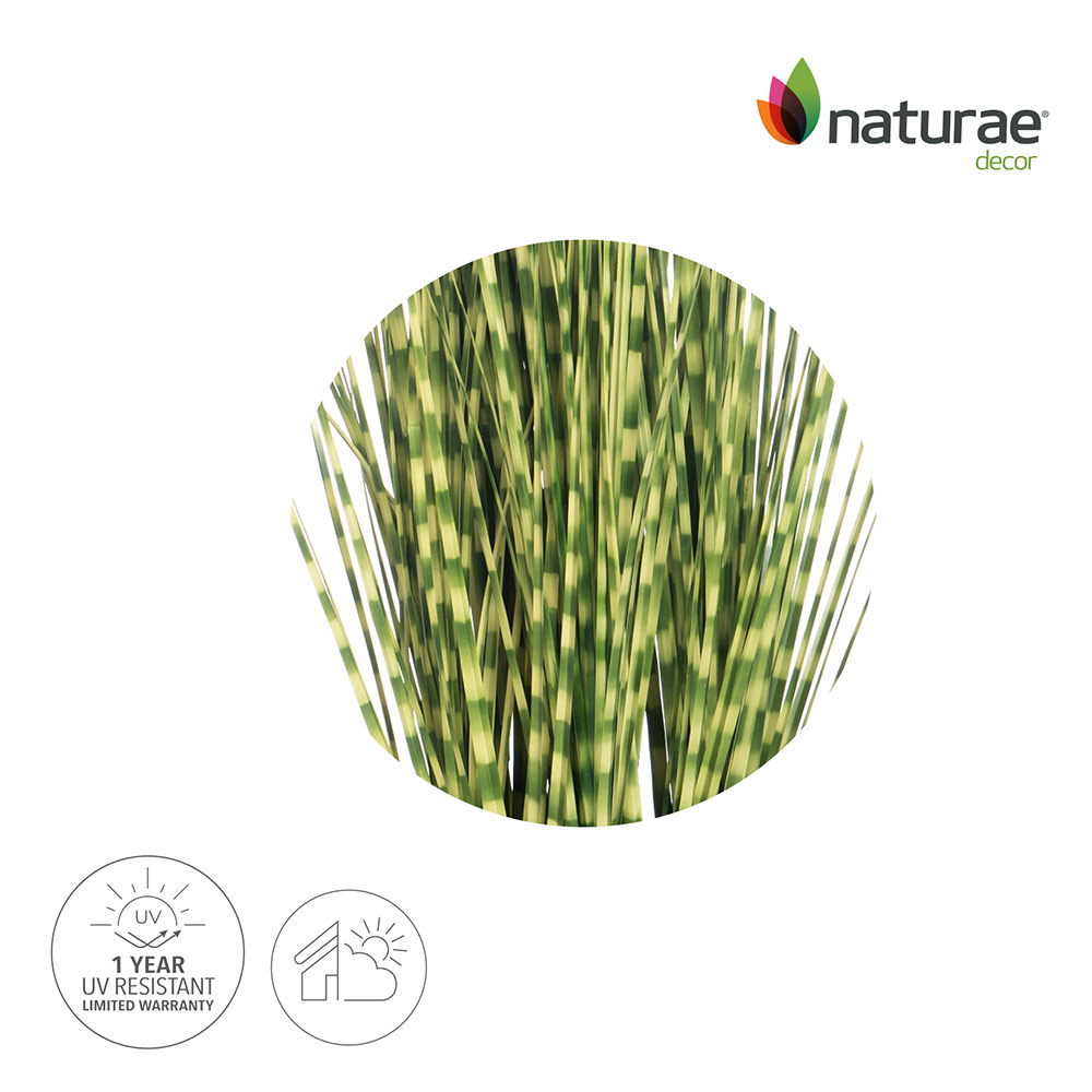 Artifical Zebra Grass Indoor/Outdoor 47-in - Image 2