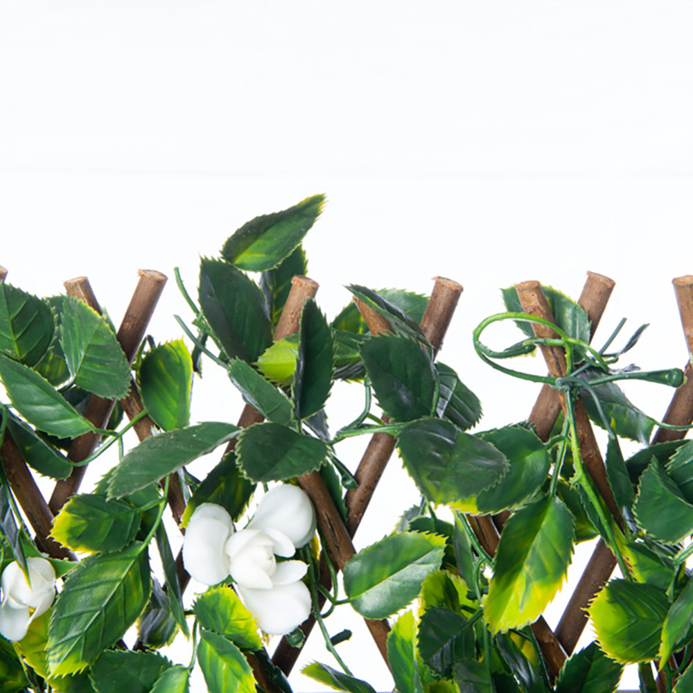 Willow Expandable Trellis 36 x 72-in with White Roses - Image 6