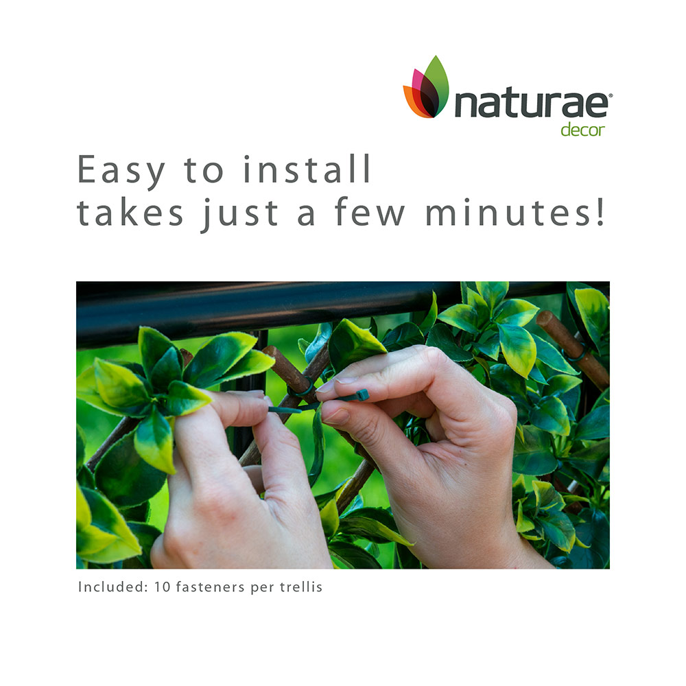 Willow Expandable Trellis 36 x 72-in with White Roses - Image 5