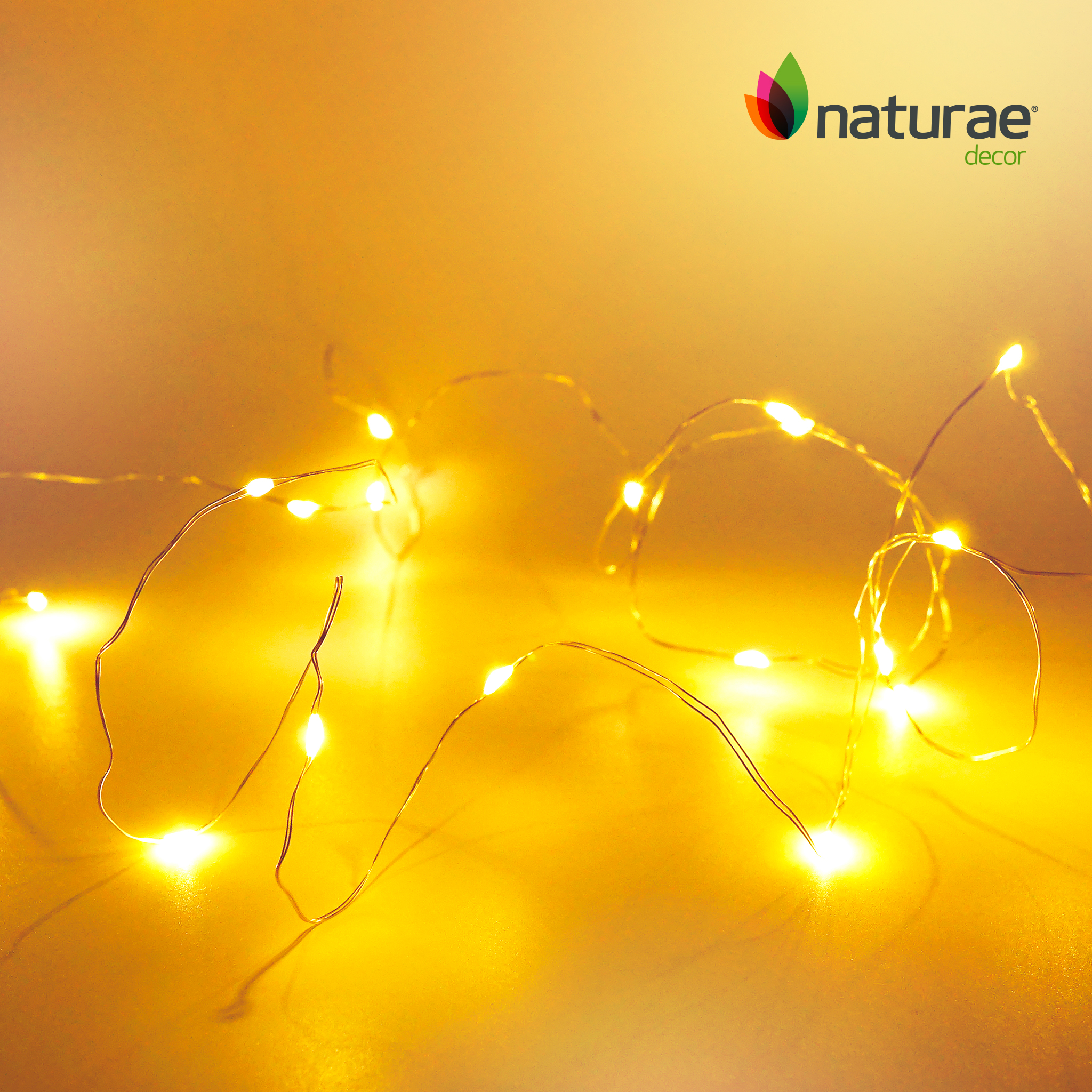 LED String Light - Image 4